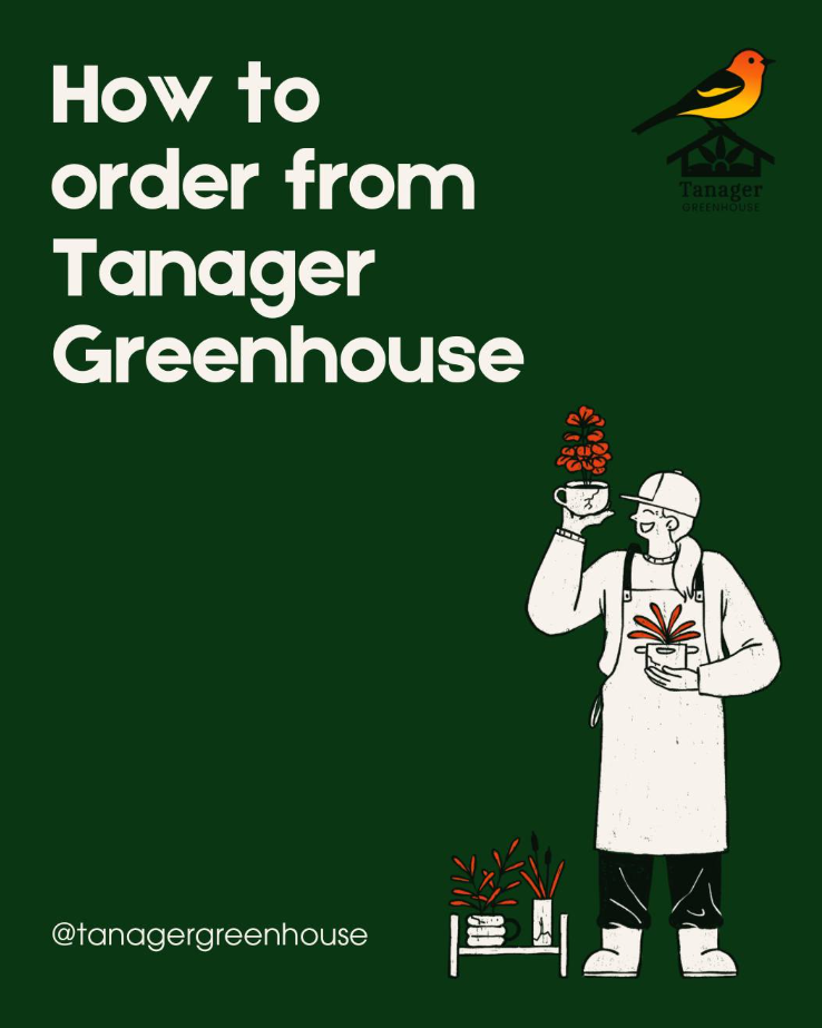 From Our Garden to Yours: How to Order from Tanager Greenhouse