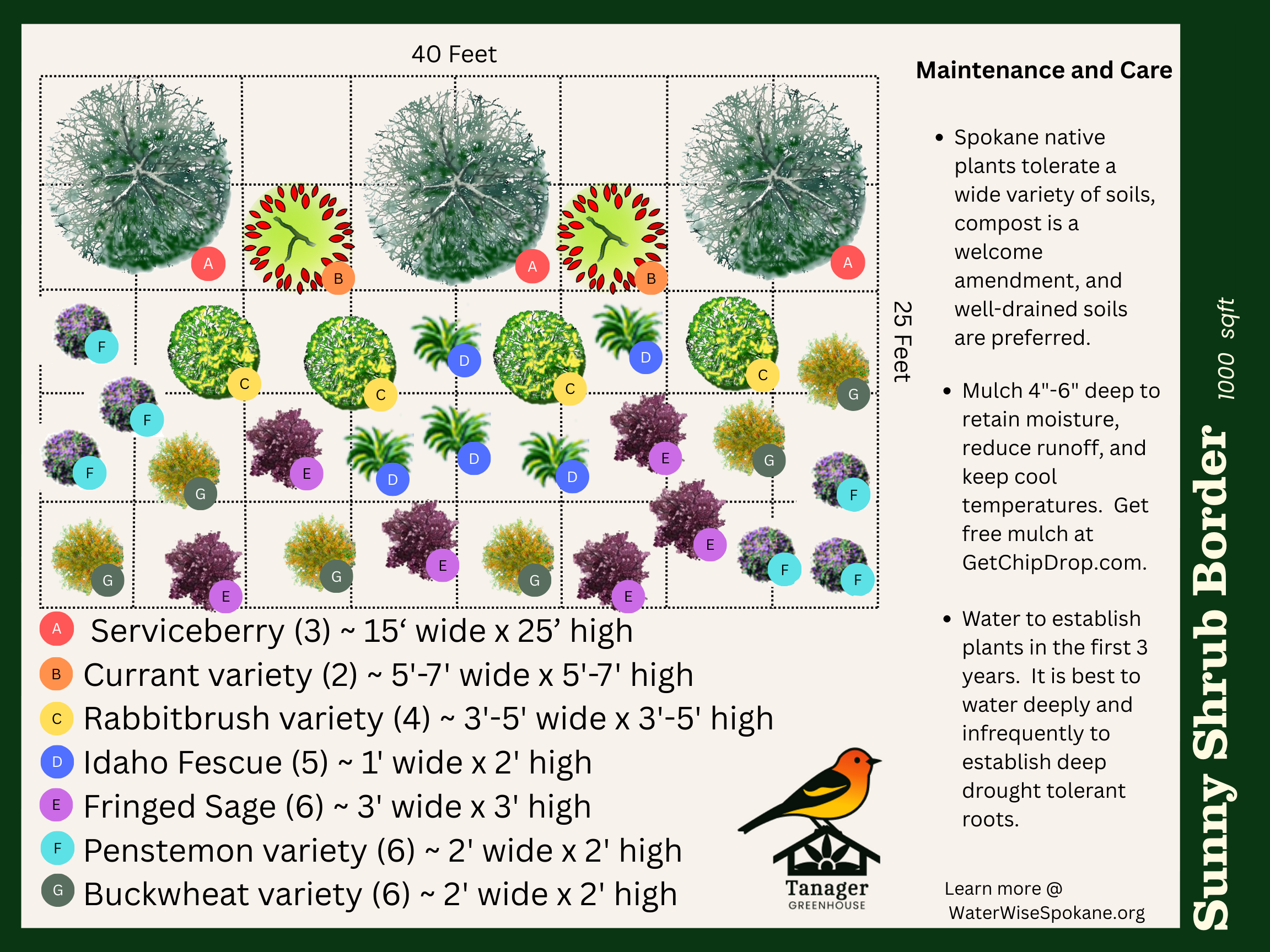 Sunny Native Border Garden Package