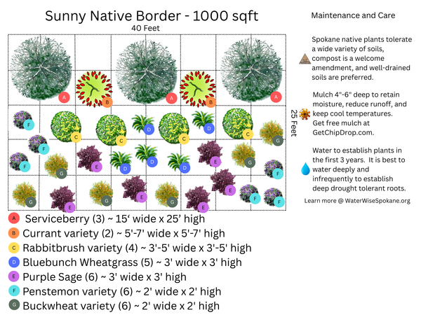 Sunny Native Border Garden Package