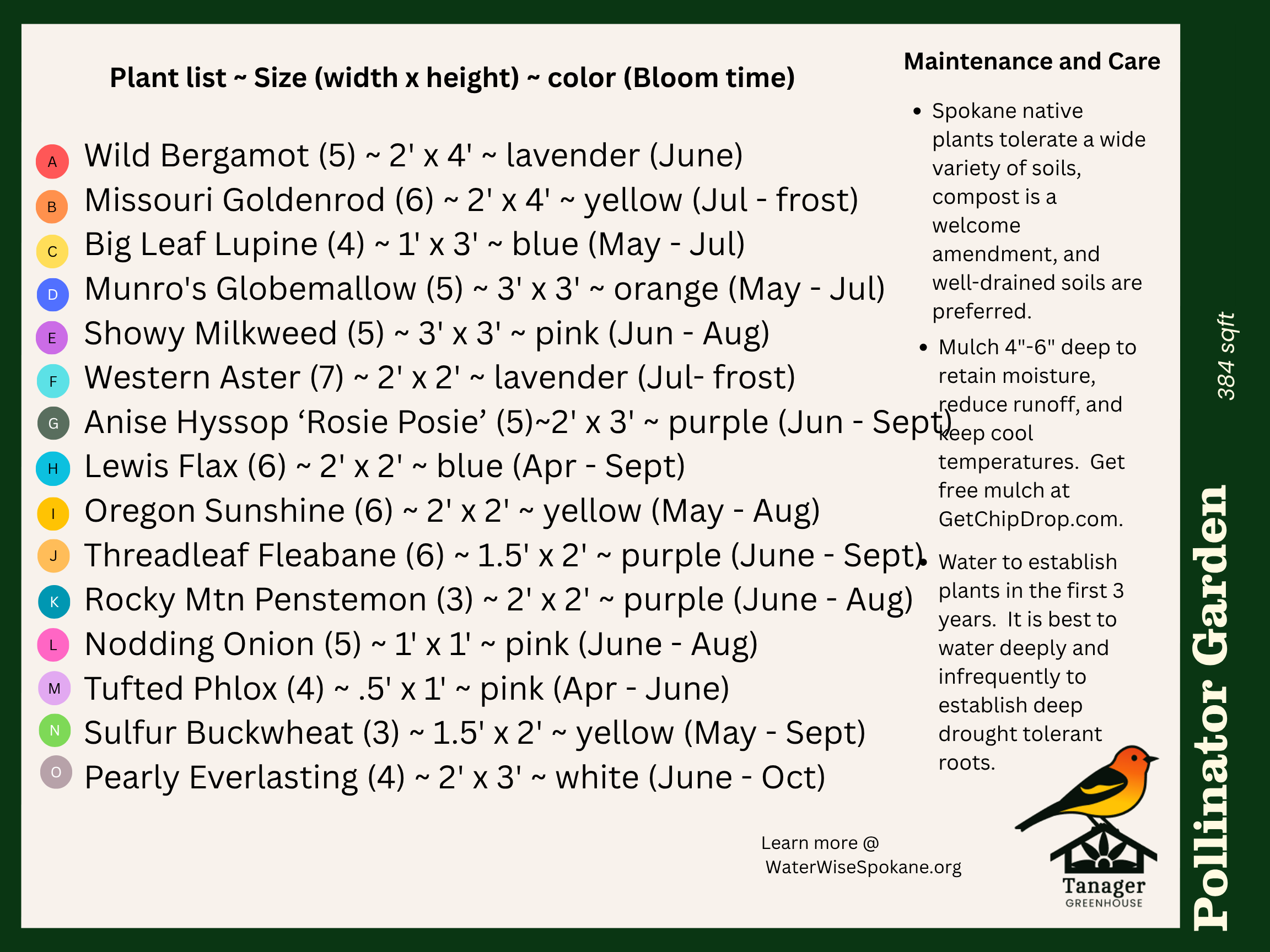 Pollinator Garden Package
