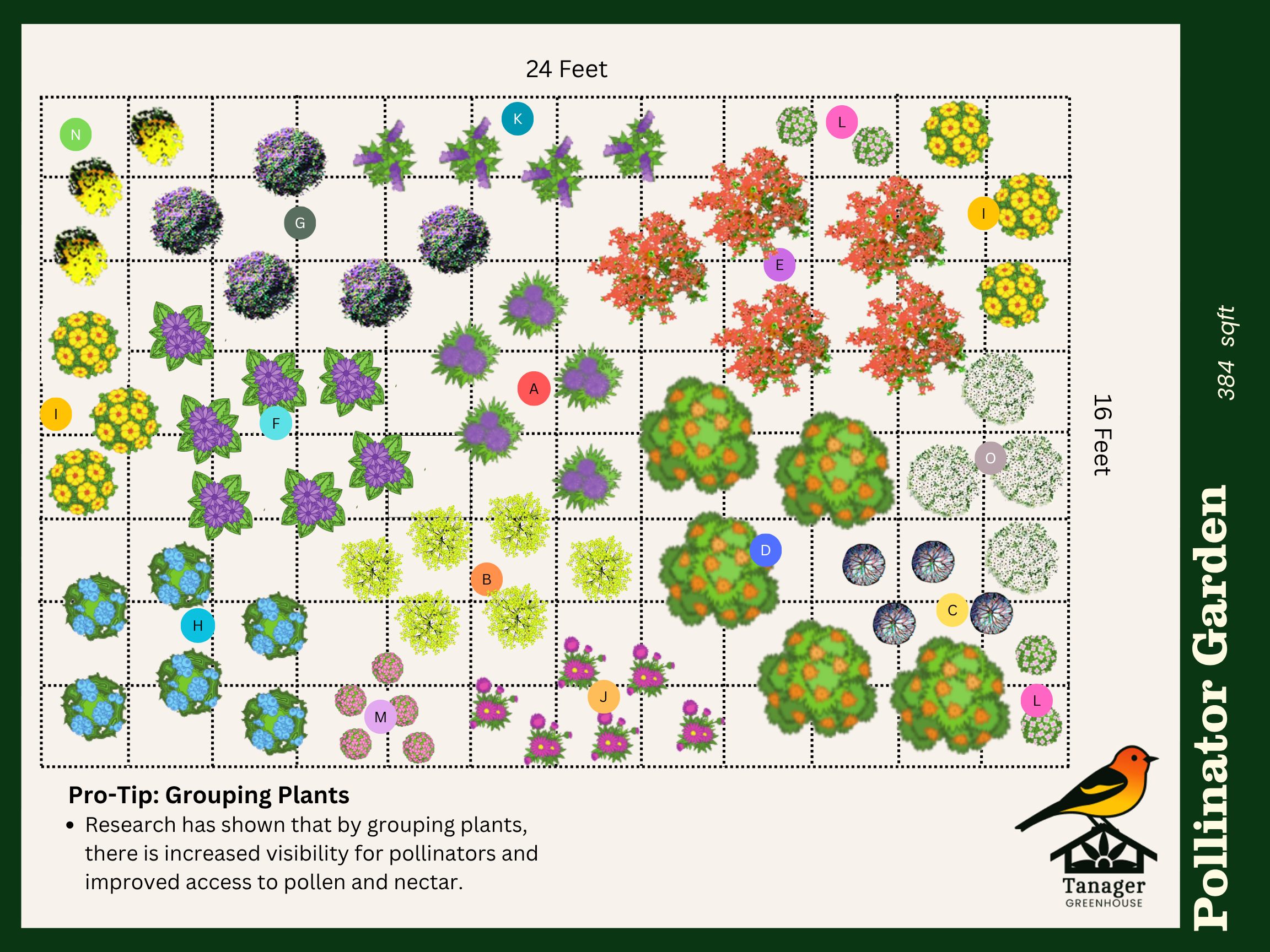 Pollinator Garden Package