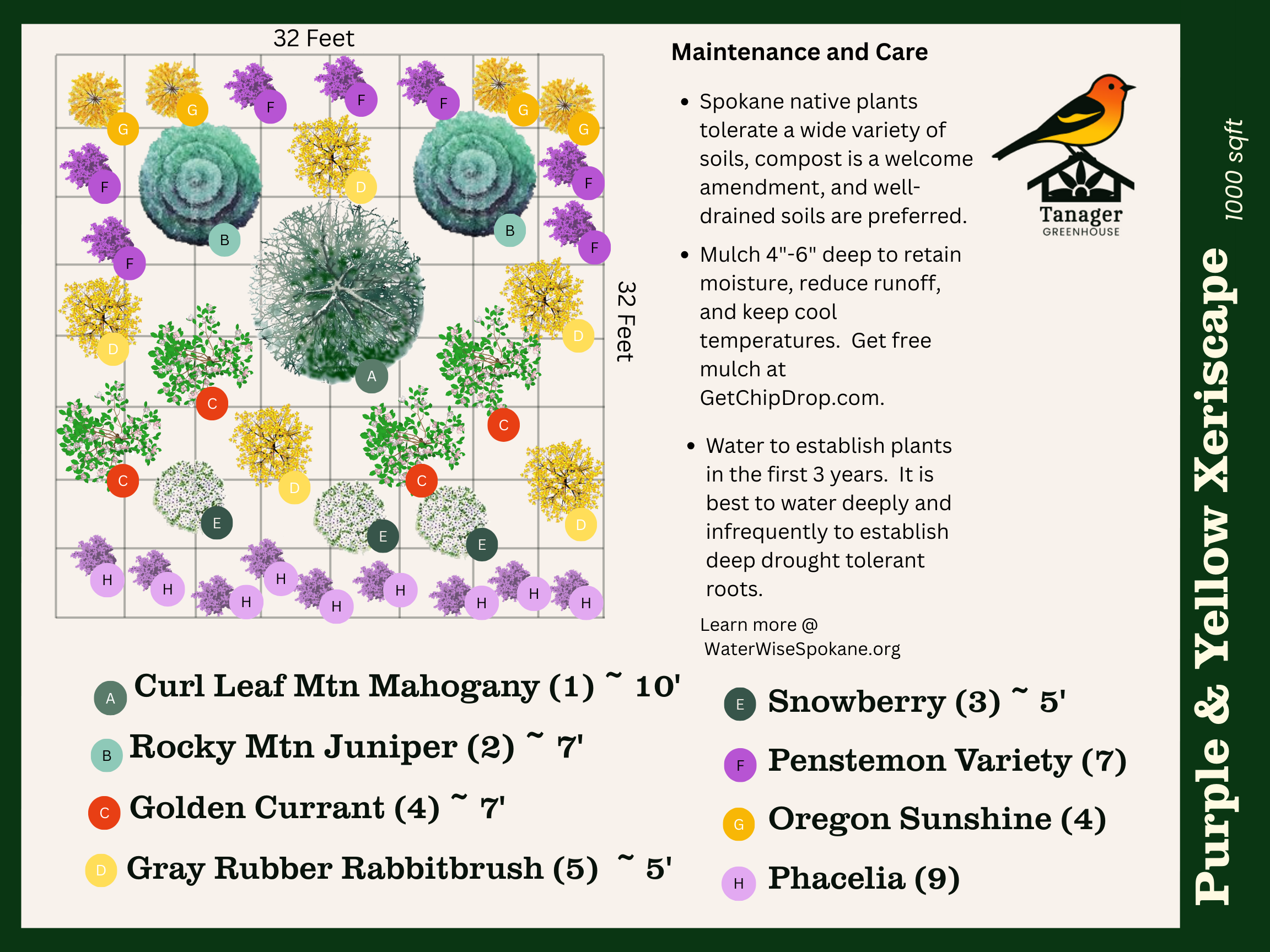 Xeriscape - Purple & Yellow Package