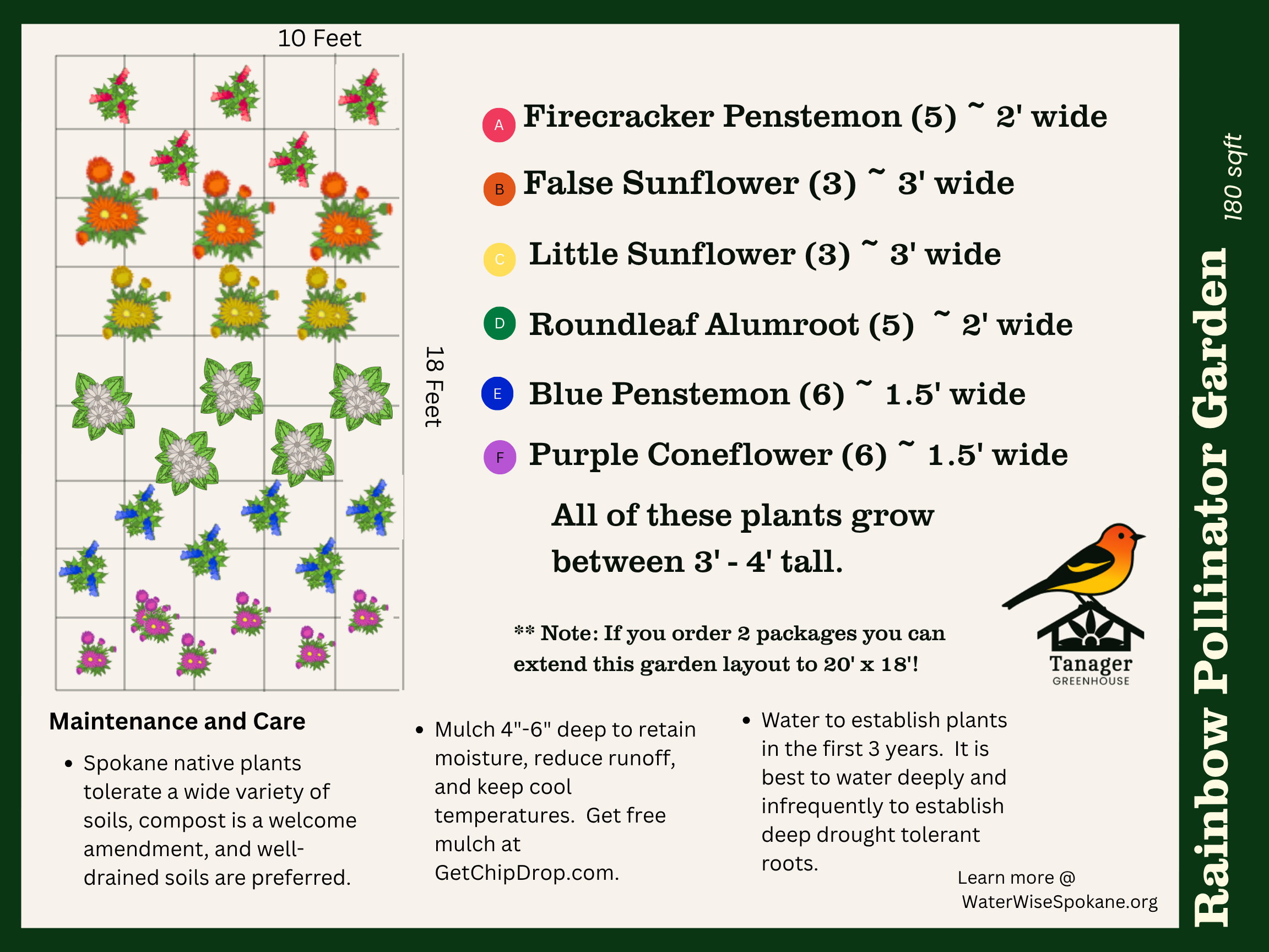Rainbow Pollinator Garden