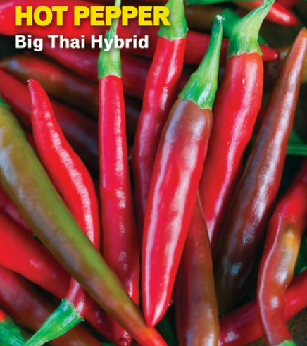Big Thai Pepper