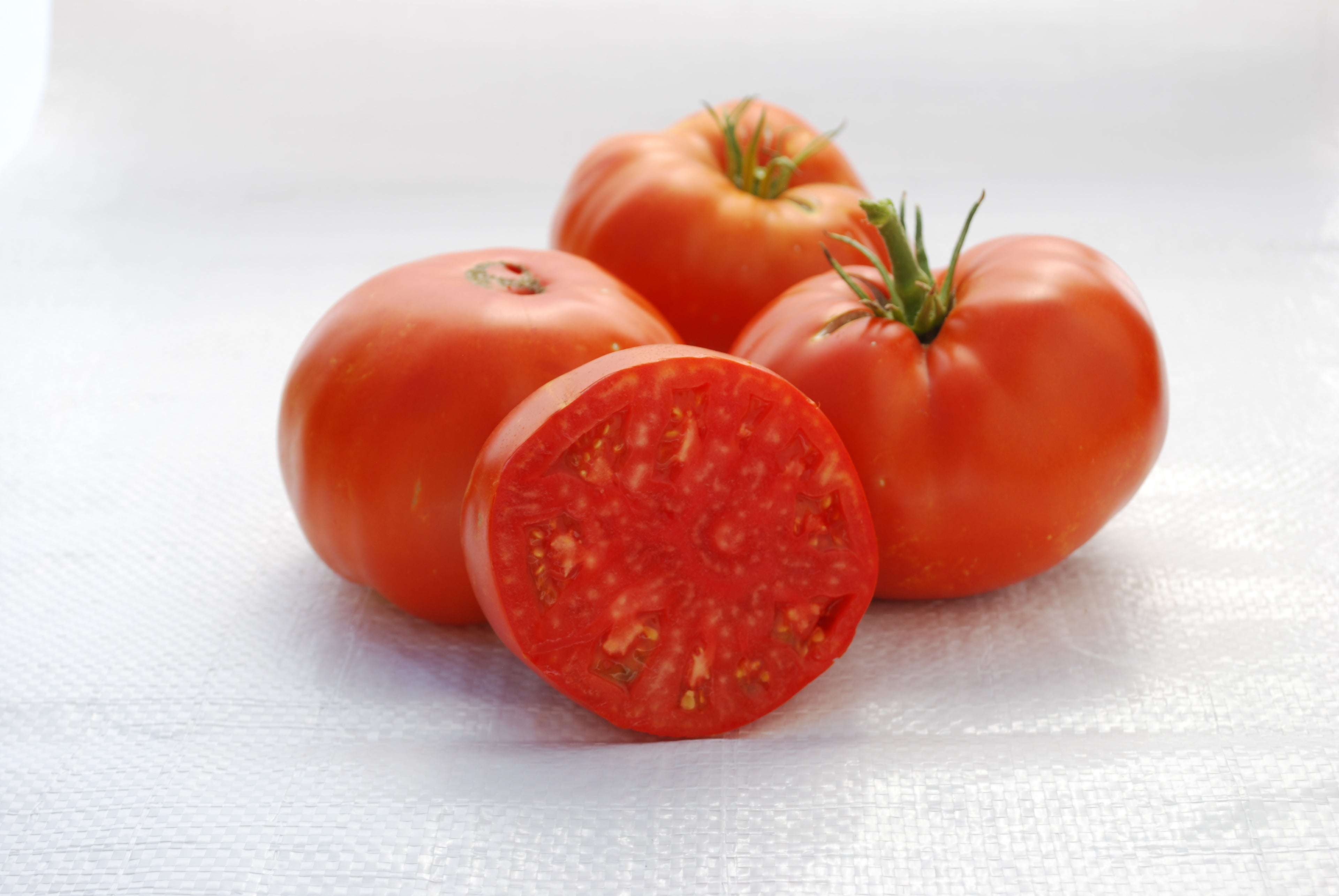 Brandywine Tomato